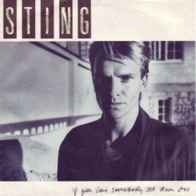 Sting If You Love Somebody Set Them Free album cover