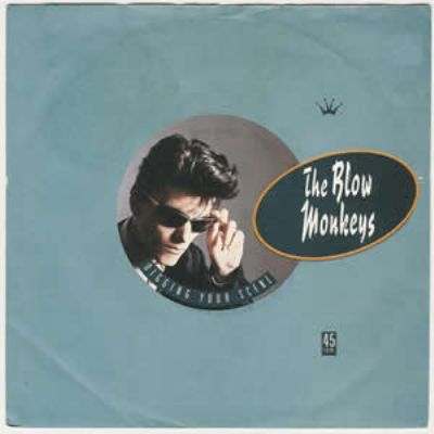 Blow Monkeys Digging Your Scene album cover