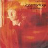 Steve Winwood Still In The Game album cover