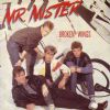 Mr Mister Broken Wings album cover
