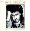 Bob Geldof This Is The World Calling album cover