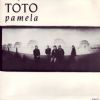 Toto Pamela album cover