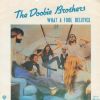 Doobie Brothers What A Fool Believes album cover