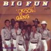 Kool & The Gang Big Fun album cover