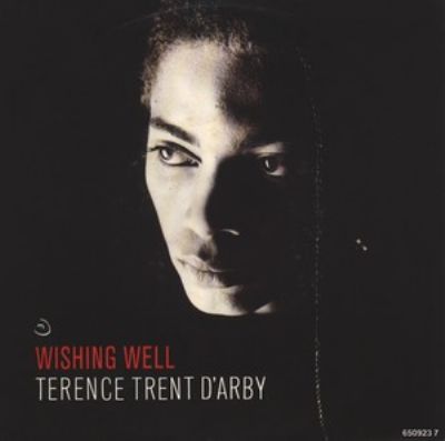 Terence Trent D'Arby Wishing Well album cover