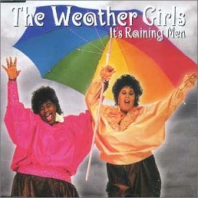 Weather Girls It's Raining Men album cover