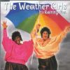 Weather Girls It's Raining Men album cover