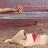 Matthew Wilder Break My Stride album cover